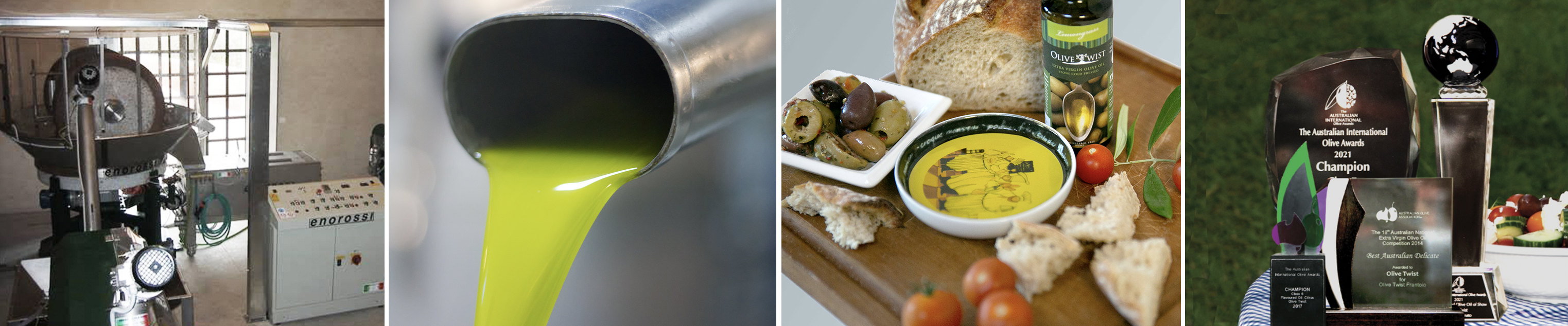 Olive Oil Gallery